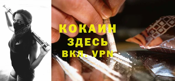 индика Абаза