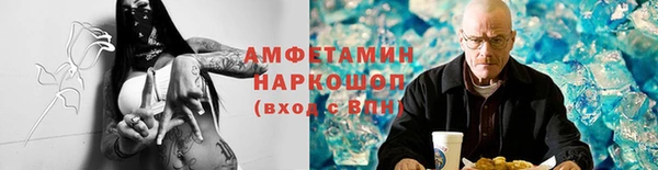 индика Абаза