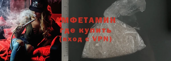 индика Абаза