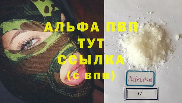 индика Абаза