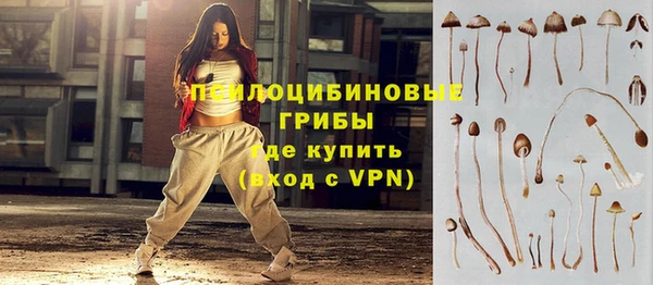 индика Абаза