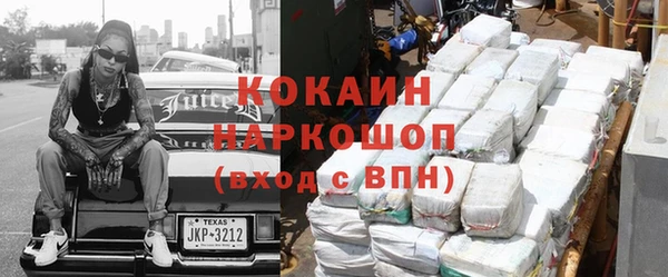 индика Абаза