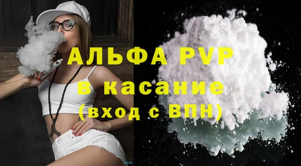 индика Абаза